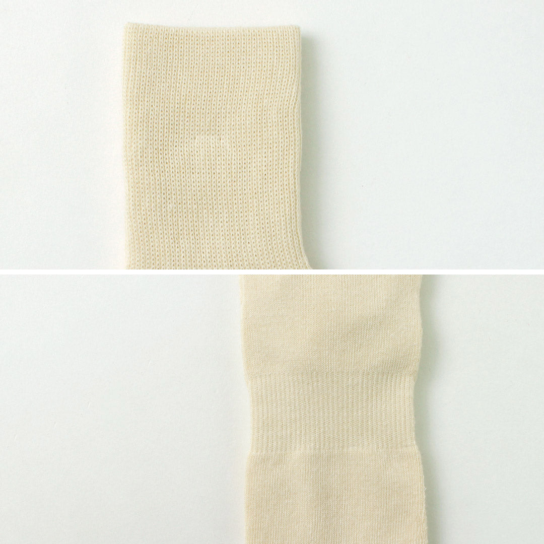 NODAL / 新标准袜子