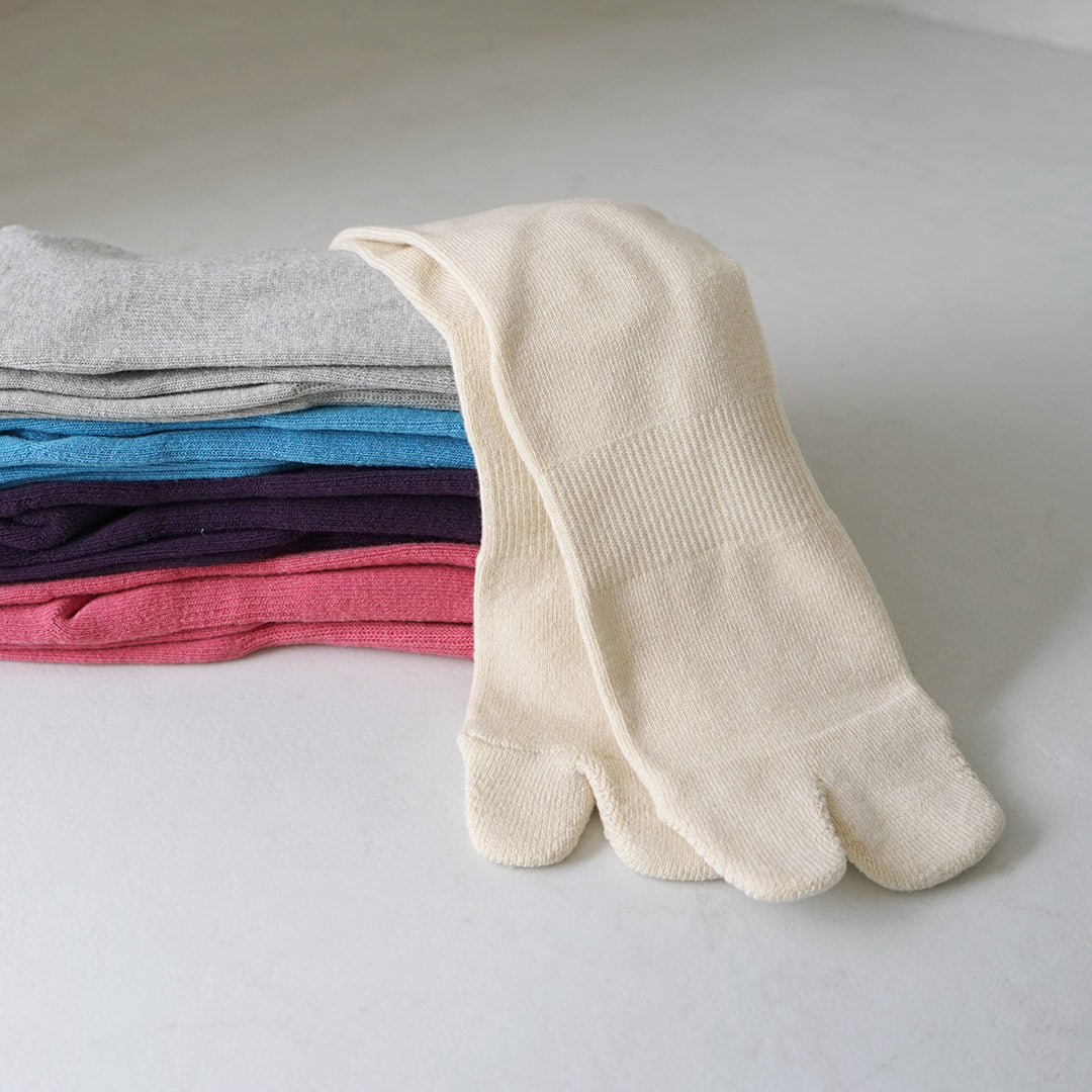 NODAL / 新标准袜子