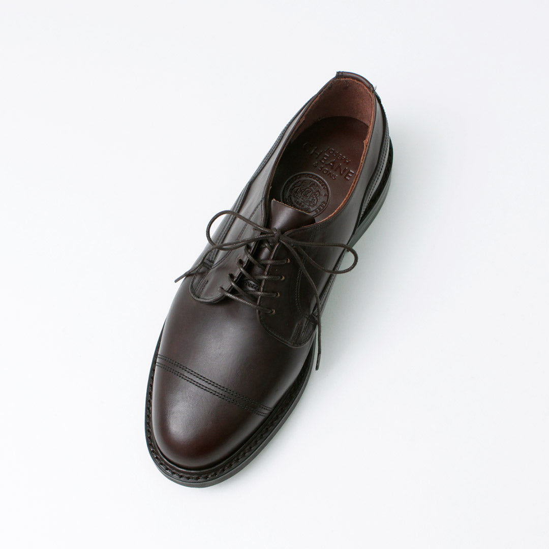 JOSEPH CHEANEY / CAIRNGORM H Leather Shoes