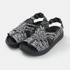 black-dalmatian / US4