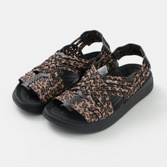 leopard / US4