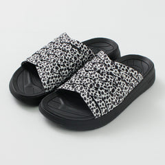 black-dalmatian / US4