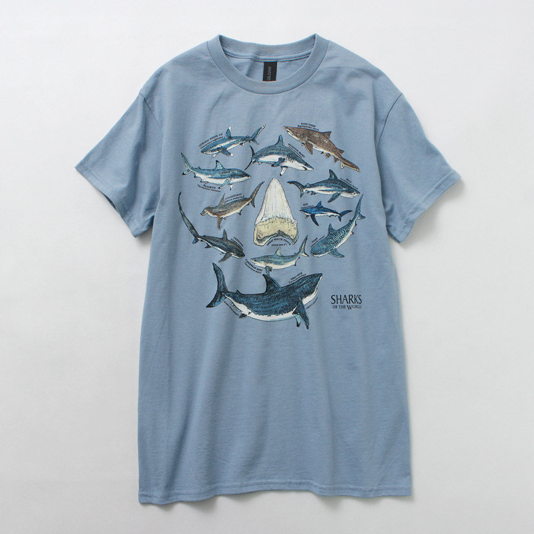 LIBERTY GRAPHICS / Fish Print T-shirt