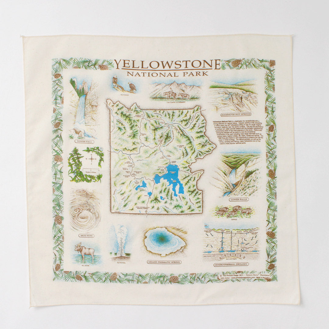THE PRINTED IMAGE / Nature Print Bandana