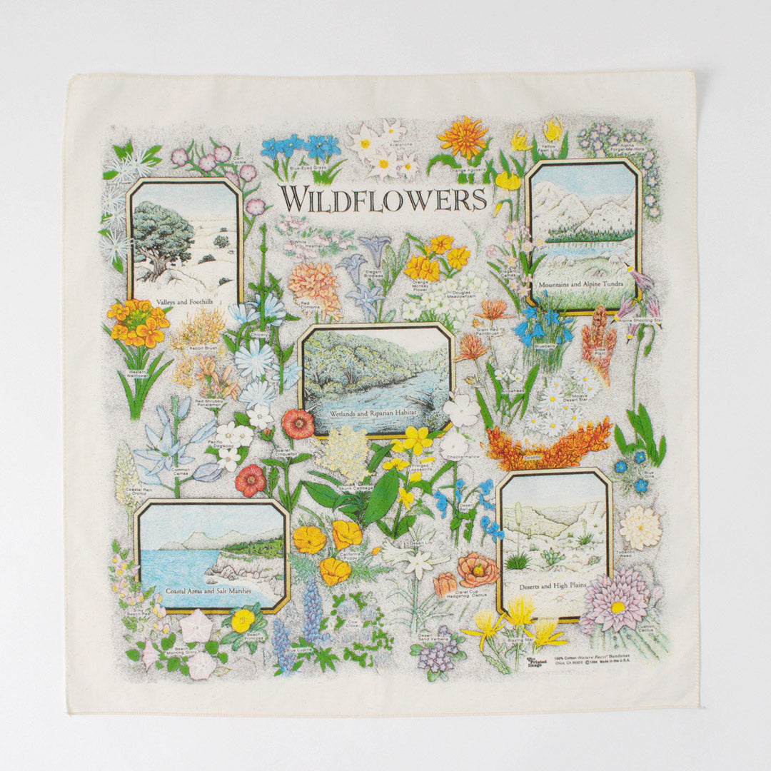 THE PRINTED IMAGE / Nature Print Bandana
