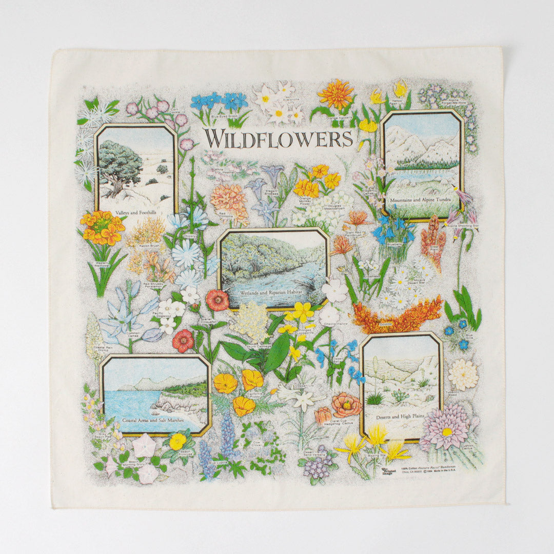 THE PRINTED IMAGE / Nature Print Bandana