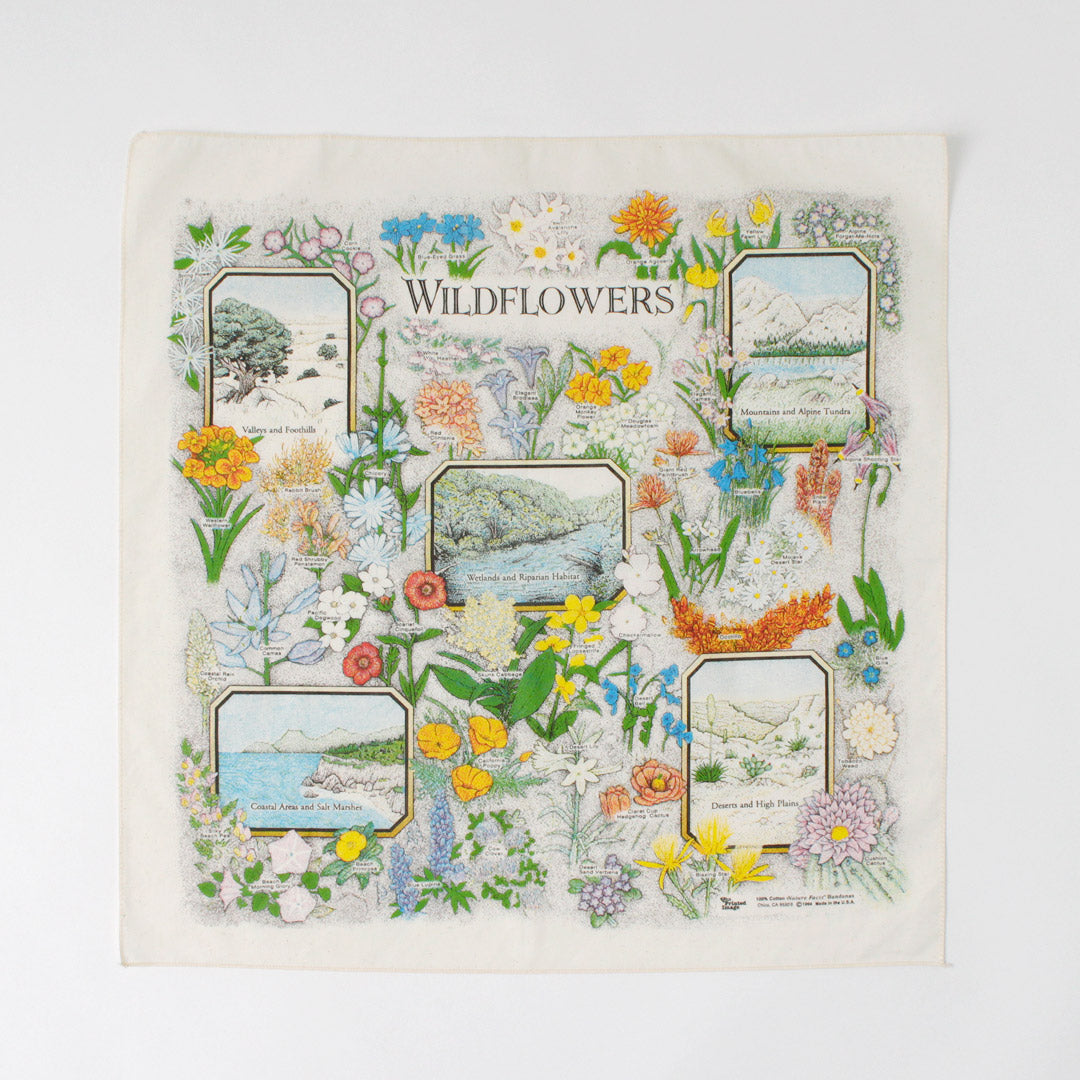 THE PRINTED IMAGE / Nature Print Bandana