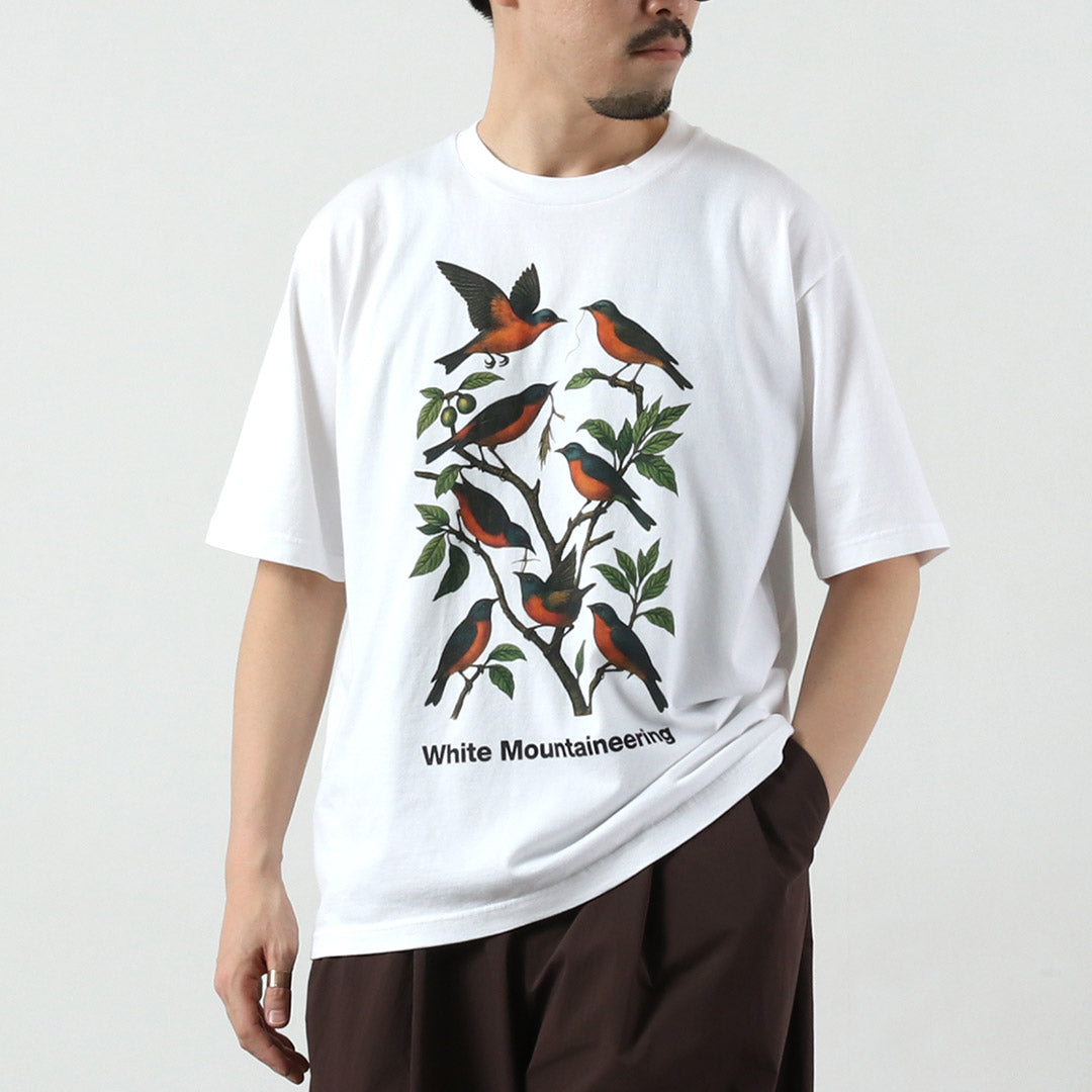 白色登山 / 蜂鸟 T 恤
