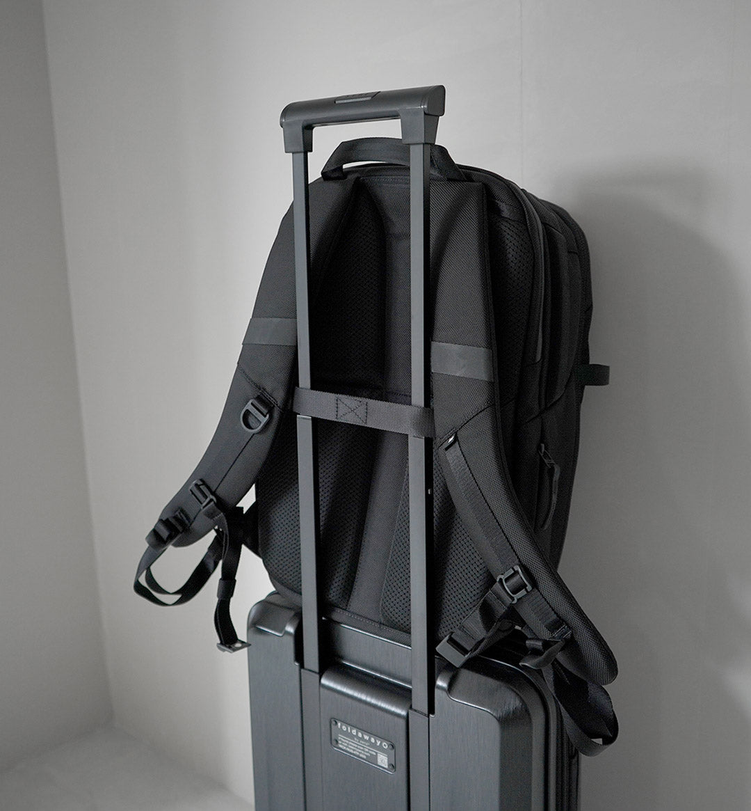 Mochila AER / Citypack Pro 2 20L