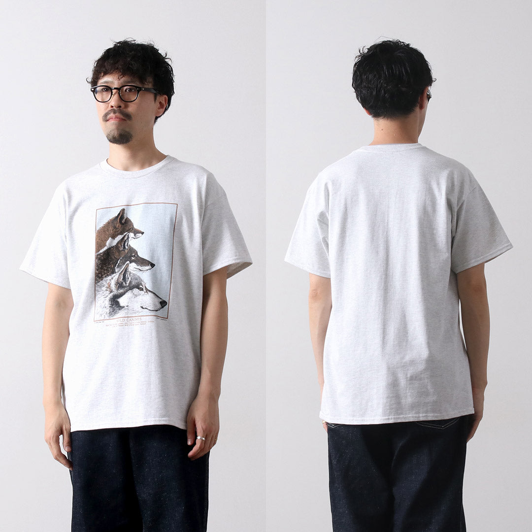 LIBERTY GRAPHICS / Wild Animal Print Tee