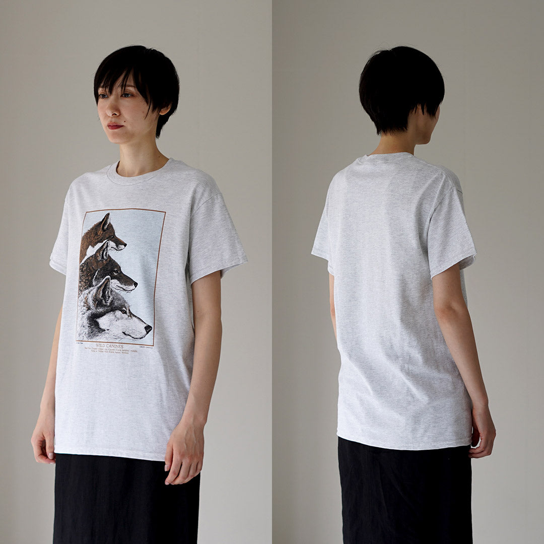 LIBERTY GRAPHICS / Wild Animal Print Tee